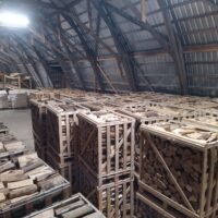 Orasausės uosio ypač kaitrios malkos 1 m3 dėžėse - Image 3